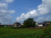 �摜(180x135)�E�g��摜(400x300)