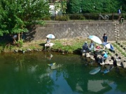 �摜(180x135)�E�g��摜(400x300)