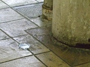 �摜(180x135)�E�g��摜(400x300)