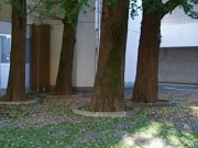 �摜(180x135)�E�g��摜(400x300)