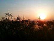 �摜(180x139)�E�g��摜(400x310)