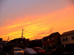 �摜(240x180)�E�g��摜(480x360)