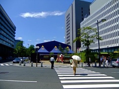 �摜(240x180)�E�g��摜(480x360)