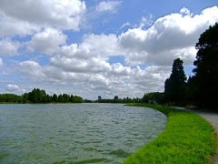 �摜(240x180)�E�g��摜(480x360)