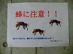 �摜(240x180)�E�g��摜(480x360)