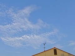 �摜(240x180)�E�g��摜(480x360)