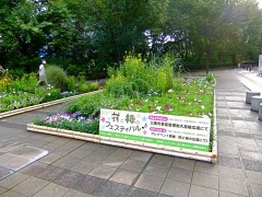 �摜(240x180)�E�g��摜(480x360)