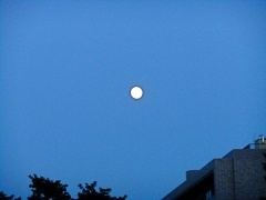 �摜(240x180)�E�g��摜(480x360)