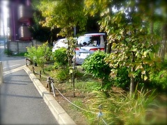 �摜(240x180)�E�g��摜(480x360)