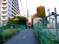 �摜(240x180)�E�g��摜(480x360)