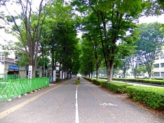 �摜(240x180)�E�g��摜(480x360)