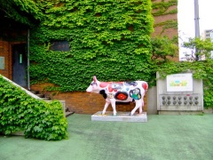 �摜(240x180)�E�g��摜(480x360)