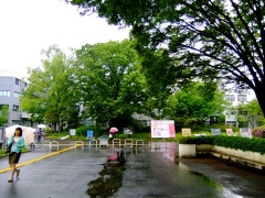 �摜(240x180)�E�g��摜(480x360)