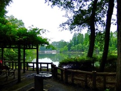 �摜(240x180)�E�g��摜(480x360)