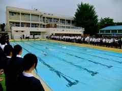 �摜(240x180)�E�g��摜(480x360)