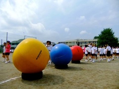 �摜(240x180)�E�g��摜(480x360)