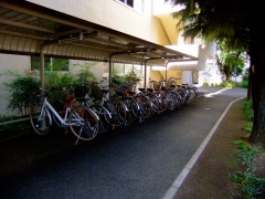 �摜(240x180)�E�g��摜(480x360)