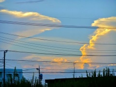 �摜(240x180)�E�g��摜(480x360)