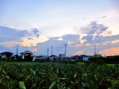 �摜(240x180)�E�g��摜(480x360)