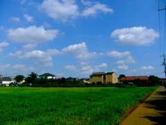 �摜(240x180)�E�g��摜(480x360)