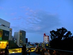 �摜(240x180)�E�g��摜(480x360)