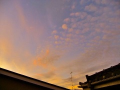 �摜(240x180)�E�g��摜(480x360)