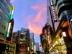 �摜(240x180)�E�g��摜(480x360)