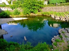 �摜(240x180)�E�g��摜(480x360)