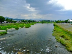 �摜(240x180)�E�g��摜(480x360)