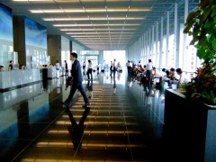 �摜(240x180)�E�g��摜(480x360)