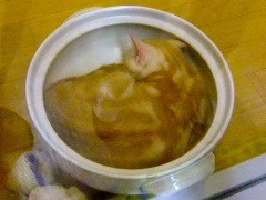 �摜(240x180)�E�g��摜(480x360)