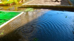 �摜(240x135)�E�g��摜(480x270)