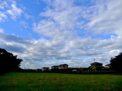 �摜(240x180)�E�g��摜(480x360)