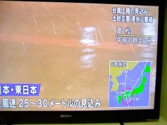 �摜(240x180)�E�g��摜(480x360)