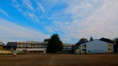 �摜(240x135)�E�g��摜(480x270)