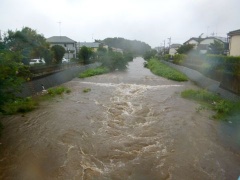 �摜(240x180)�E�g��摜(480x360)