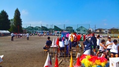 �摜(240x135)�E�g��摜(480x270)