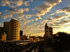 �摜(240x180)�E�g��摜(480x360)