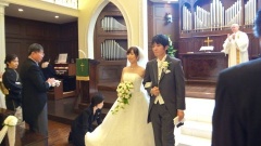 �摜(240x135)�E�g��摜(480x270)