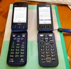 �摜(240x231)�E�g��摜(480x462)