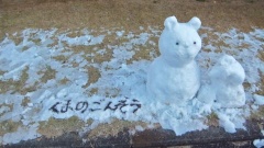 �摜(240x135)�E�g��摜(480x270)