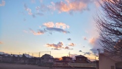 �摜(240x135)�E�g��摜(480x270)