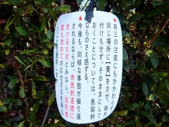 �摜(240x180)�E�g��摜(480x360)