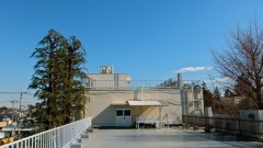 �摜(240x135)�E�g��摜(480x270)