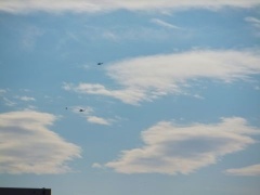 �摜(240x180)�E�g��摜(480x360)