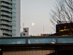 �摜(240x180)�E�g��摜(480x360)