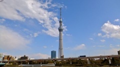 �摜(240x135)�E�g��摜(480x270)