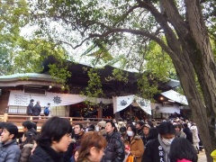 �摜(240x180)�E�g��摜(480x360)