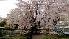 �摜(240x135)�E�g��摜(480x270)