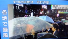 �摜(240x139)�E�g��摜(480x279)